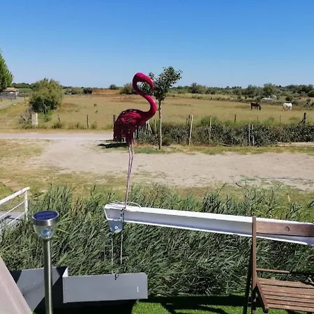 Sejour Atypique Et Insolite Sur Notre Peniche La Coradine Avec Grand 船屋 *